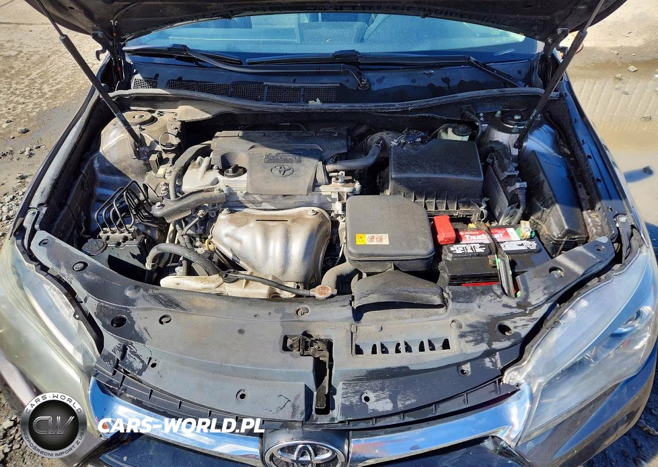 2017 Toyota Camry Se VIN:4T1BF1FK8HU298786 - 11