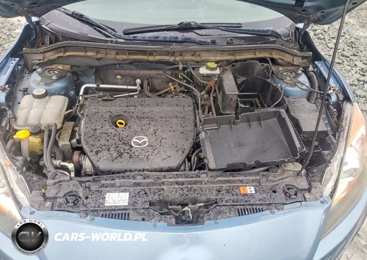 2010 Mazda 3 I VIN:JM1BL1SF5A1266598 - 11
