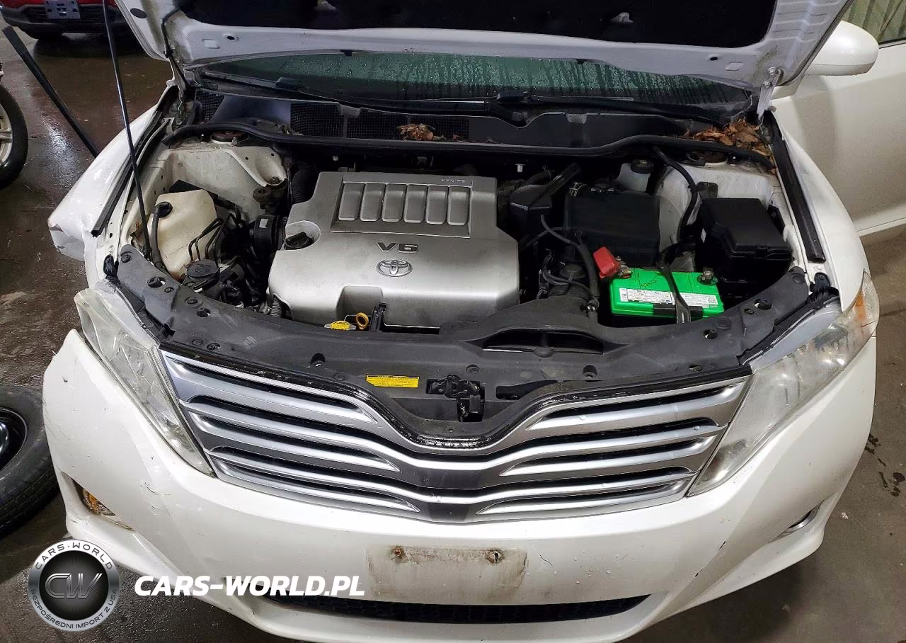 2010 Toyota Venza Awd V6 VIN:4T3BK3BBXAU044118 - 12