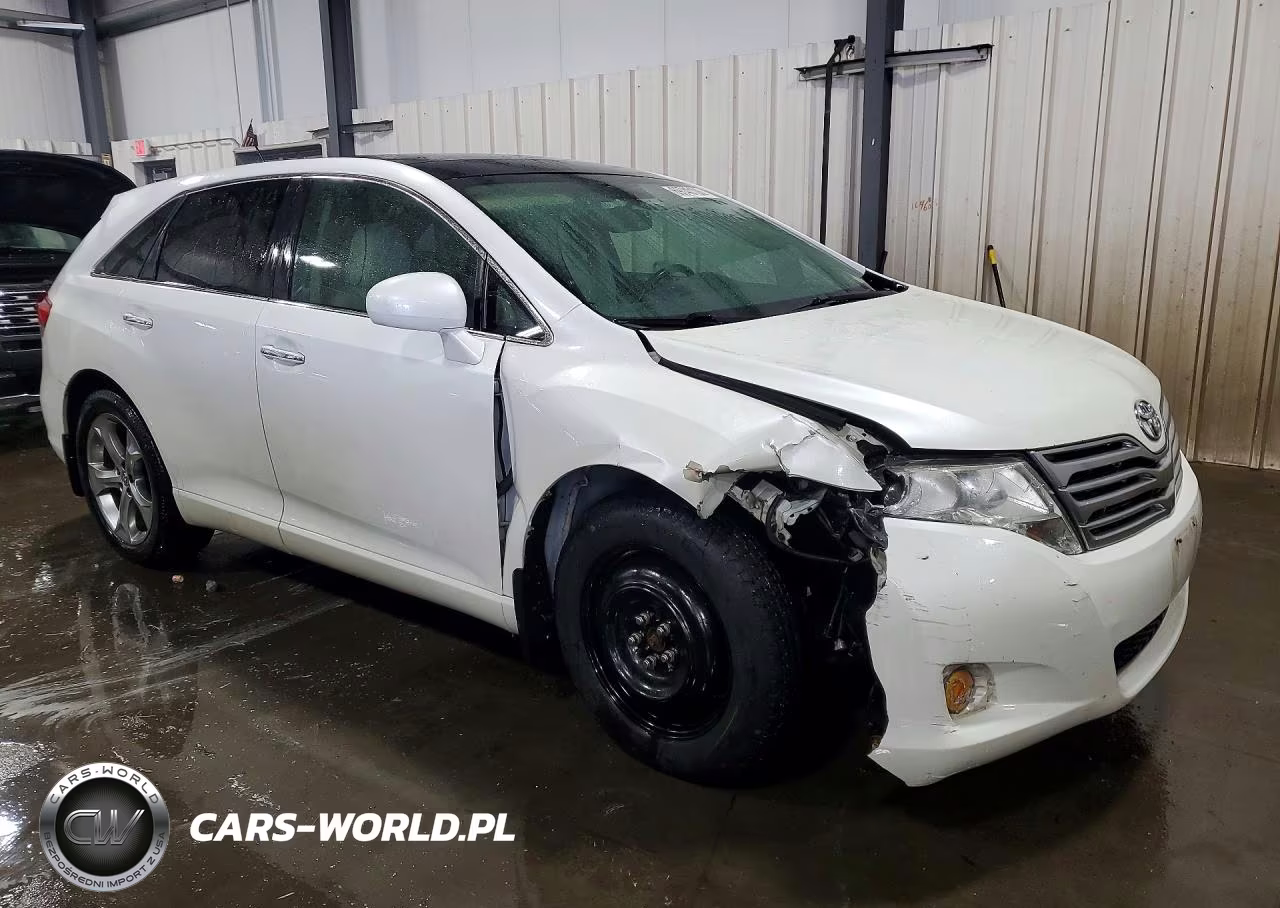 2010 Toyota Venza Awd V6 VIN:4T3BK3BBXAU044118 - 4