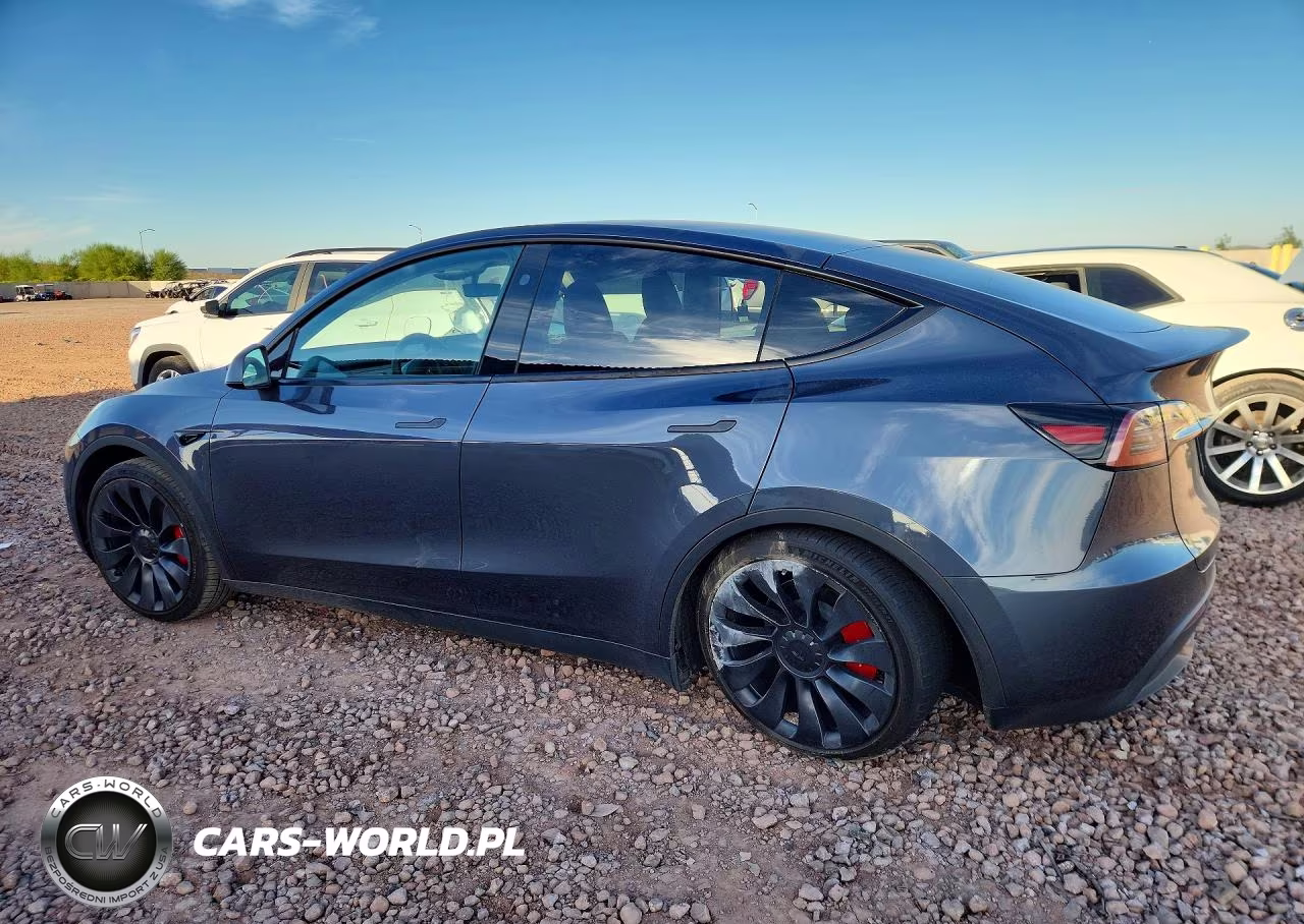 2023 Tesla Model Y VIN:7SAYGDEF9PF859377 - 2