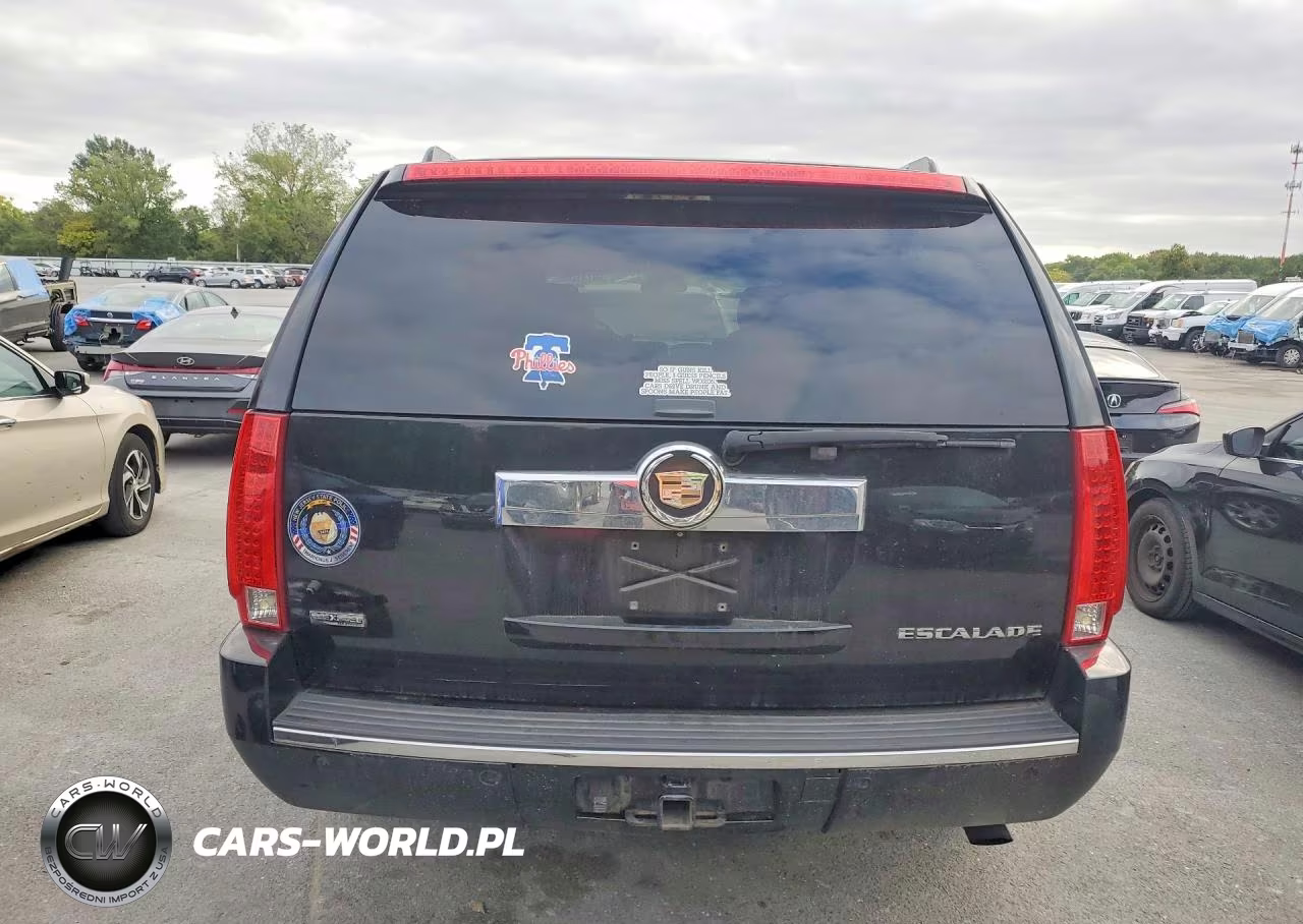 2009 Cadillac Escalade Esv Luxury VIN:1GYFK26299R178727 - 6