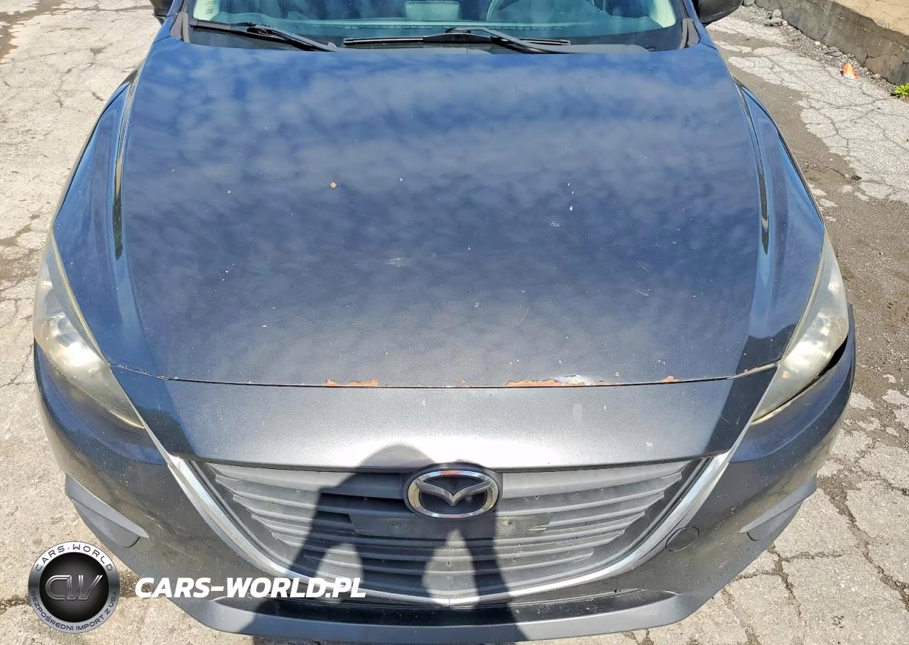 2014 Mazda 3 Sport VIN:JM1BM1U78E1216707 - 11