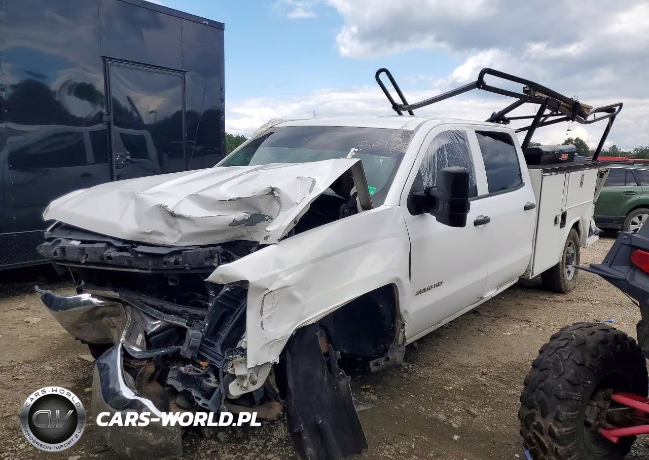 2017 Chevrolet Silverado C2500 Heavy Duty VIN:1GB1CUEG4HF177253 - 1