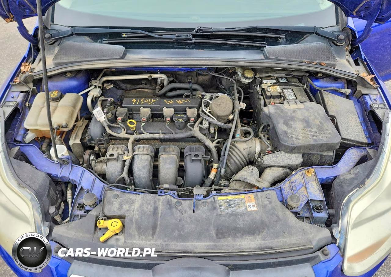 2014 Ford Focus Se Se VIN:1FADP3F26EL134160 - 11