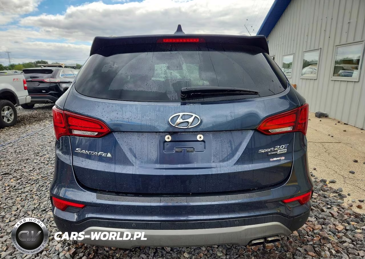 2017 Hyundai Santa Fe Sport 2.0T Ultimate VIN:5XYZWDLA0HG485733 - 6