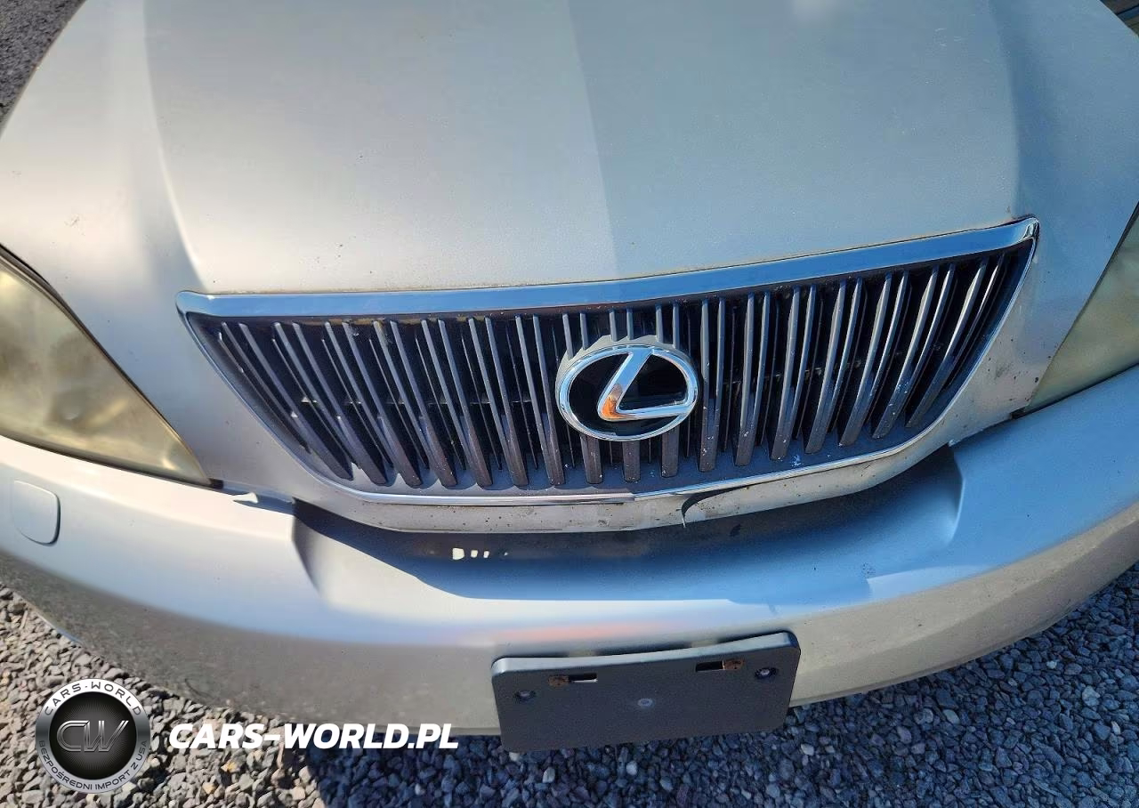 2007 Lexus Rx 350 VIN:2T2GK31U97C009934 - 11