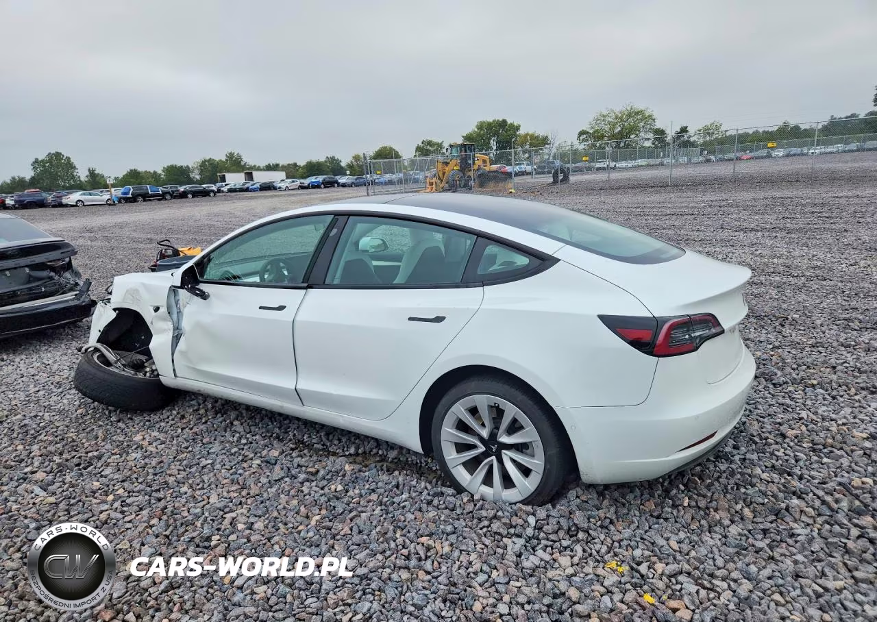 2022 Tesla Model 3 VIN:5YJ3E1EB5NF193902 - 2