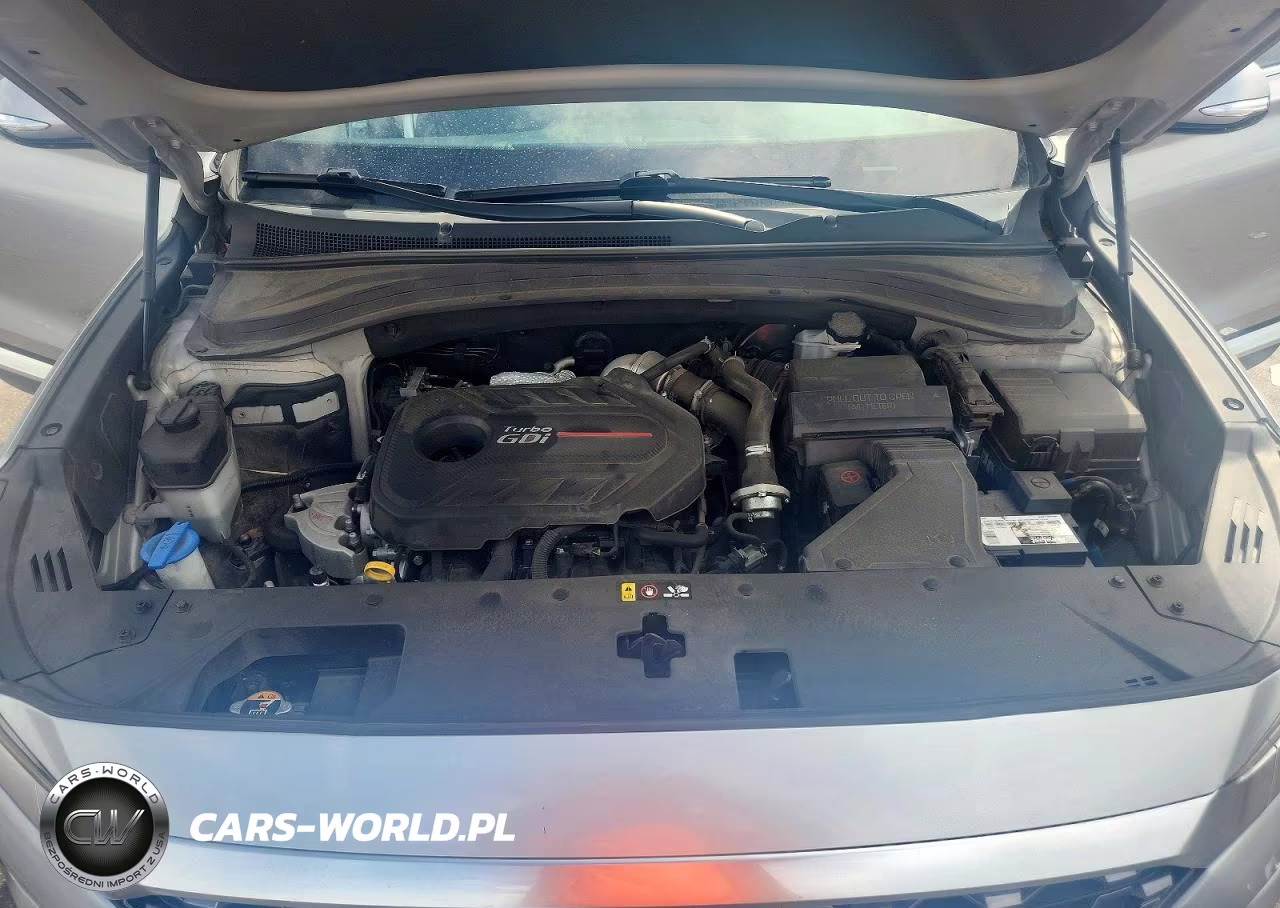 2020 Hyundai Santa Fe Sel 2.0T VIN:5NMS33AA9LH214319 - 12