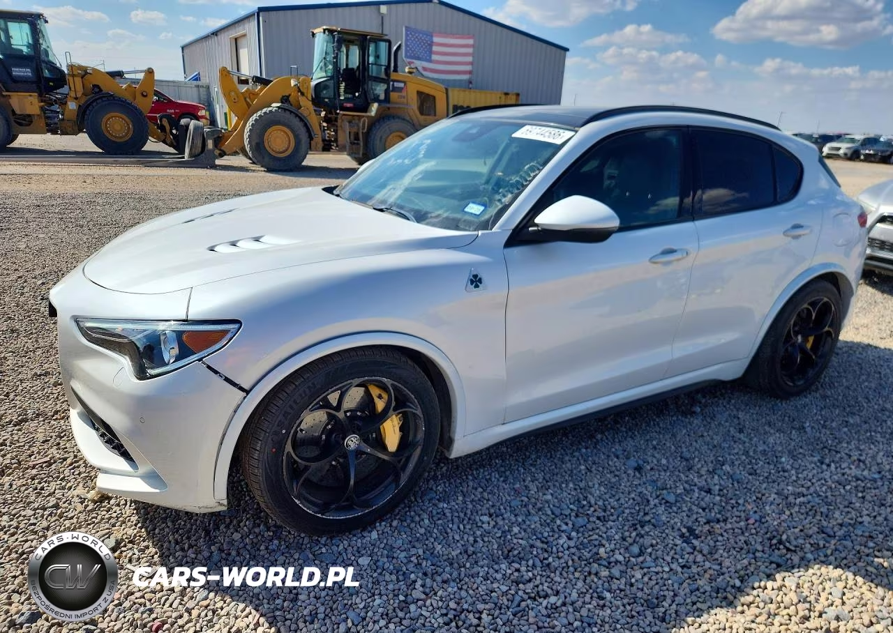 2019 Alfa Romeo Stelvio Quadrifoglio VIN:ZASPAKEV3K7C29835 - 1