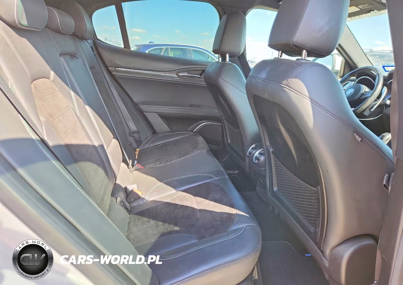 2019 Alfa Romeo Stelvio Quadrifoglio VIN:ZASPAKEV3K7C29835 - 10