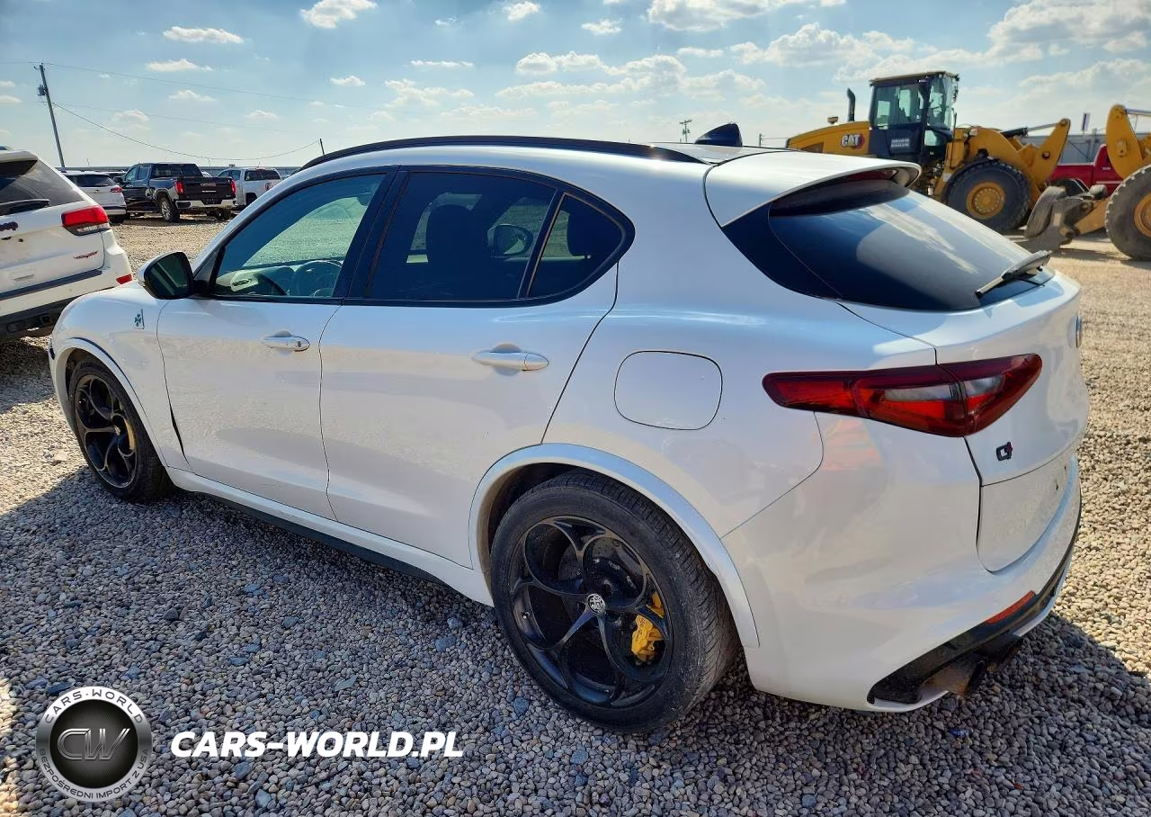 2019 Alfa Romeo Stelvio Quadrifoglio VIN:ZASPAKEV3K7C29835 - 2