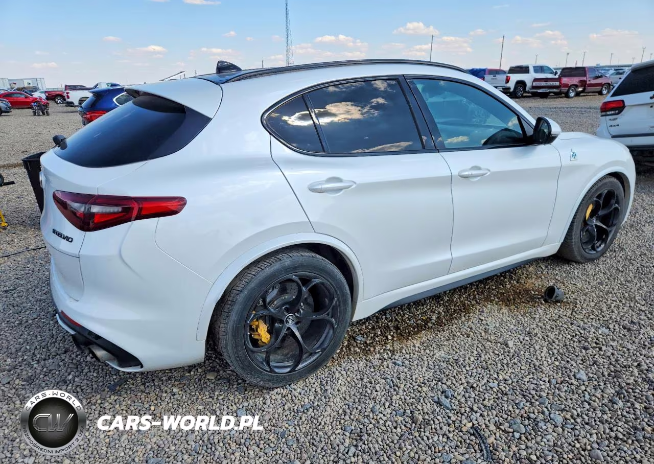 2019 Alfa Romeo Stelvio Quadrifoglio VIN:ZASPAKEV3K7C29835 - 3