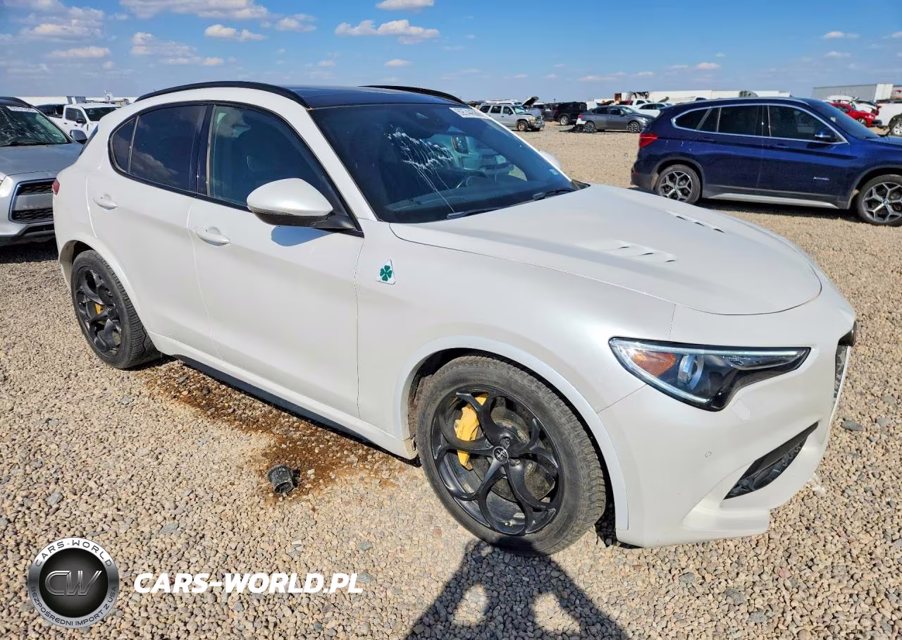 2019 Alfa Romeo Stelvio Quadrifoglio VIN:ZASPAKEV3K7C29835 - 4