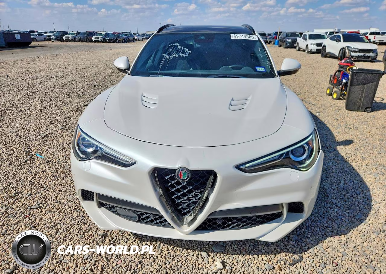 2019 Alfa Romeo Stelvio Quadrifoglio VIN:ZASPAKEV3K7C29835 - 5