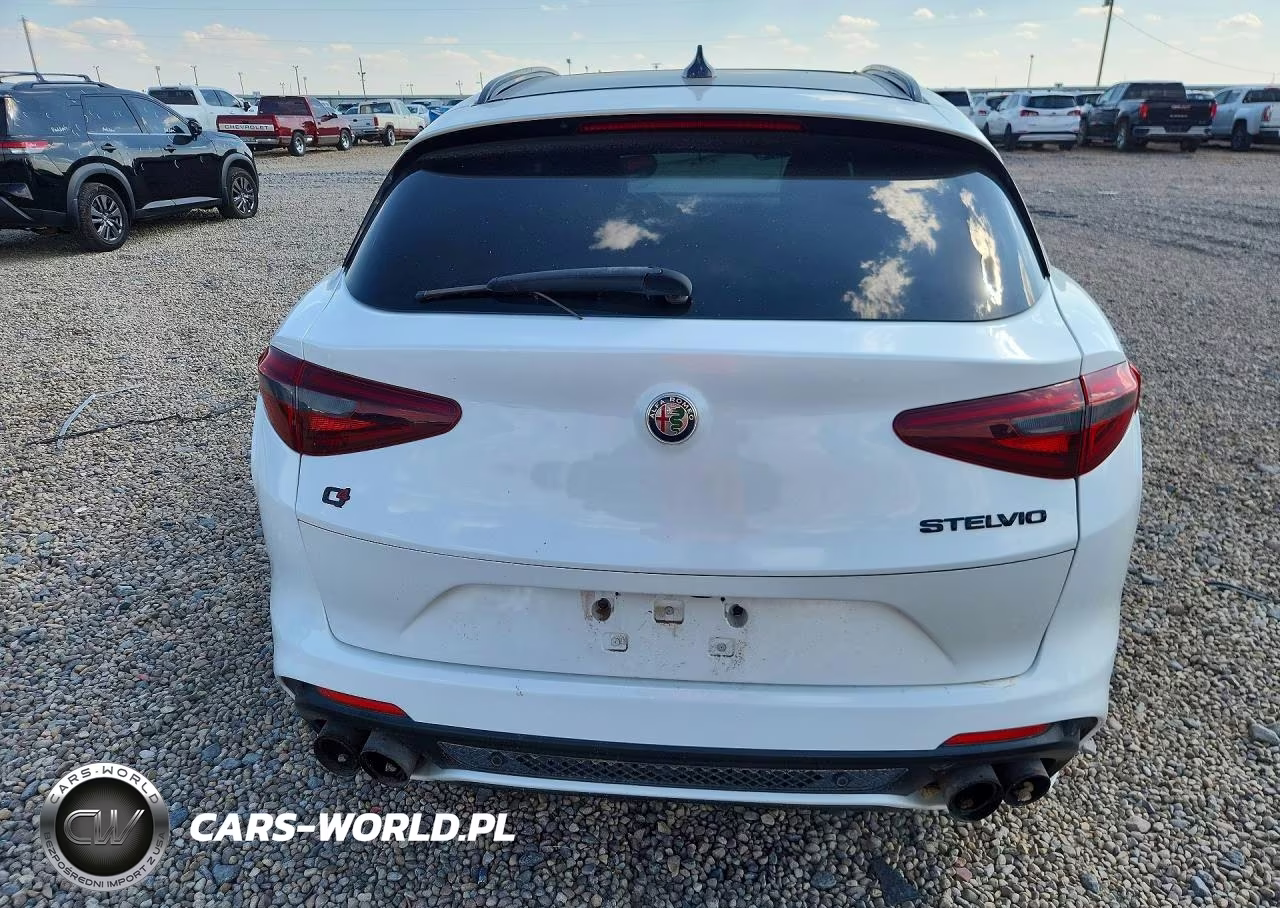 2019 Alfa Romeo Stelvio Quadrifoglio VIN:ZASPAKEV3K7C29835 - 6