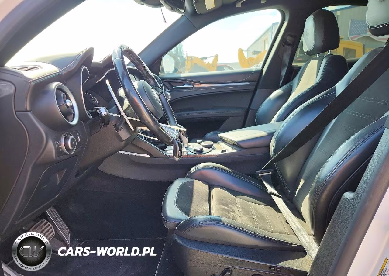 2019 Alfa Romeo Stelvio Quadrifoglio VIN:ZASPAKEV3K7C29835 - 7