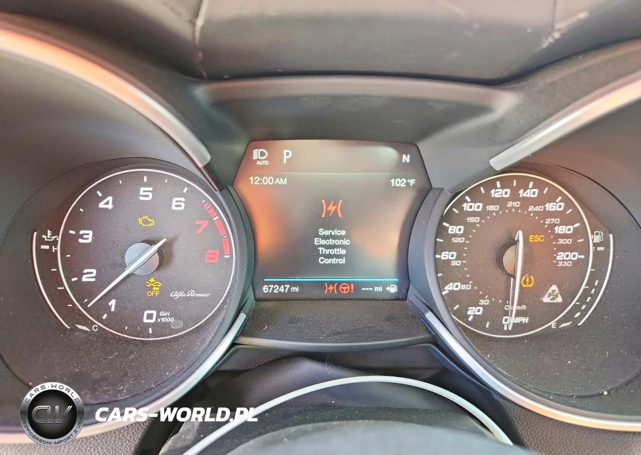 2019 Alfa Romeo Stelvio Quadrifoglio VIN:ZASPAKEV3K7C29835 - 9