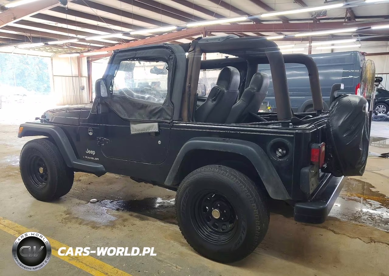 2003 Jeep Wrangler - Tj Se VIN:1J4FA29133P343910 - 2