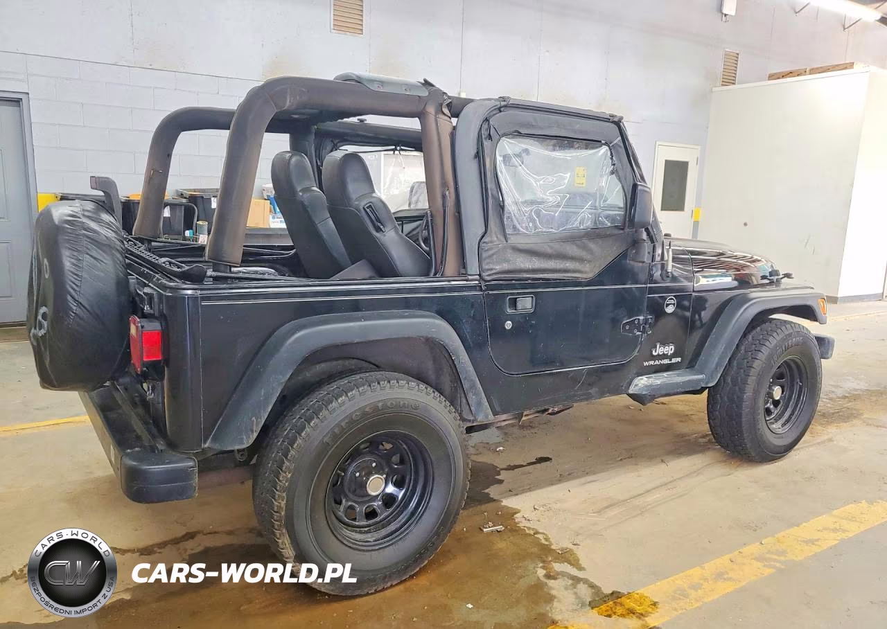 2003 Jeep Wrangler - Tj Se VIN:1J4FA29133P343910 - 3