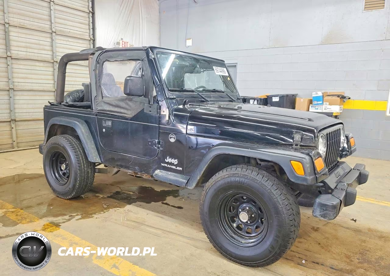 2003 Jeep Wrangler - Tj Se VIN:1J4FA29133P343910 - 4