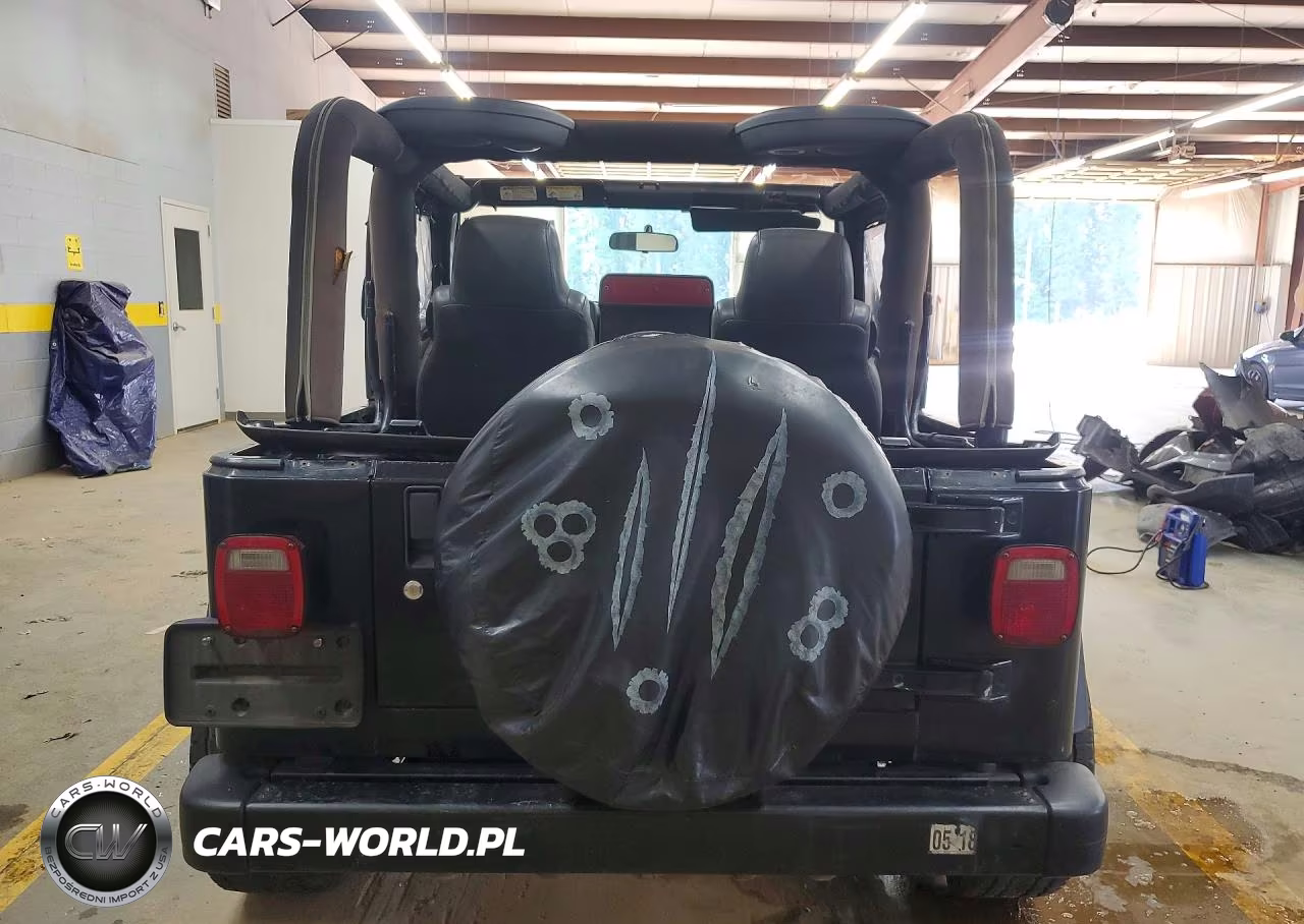 2003 Jeep Wrangler - Tj Se VIN:1J4FA29133P343910 - 6