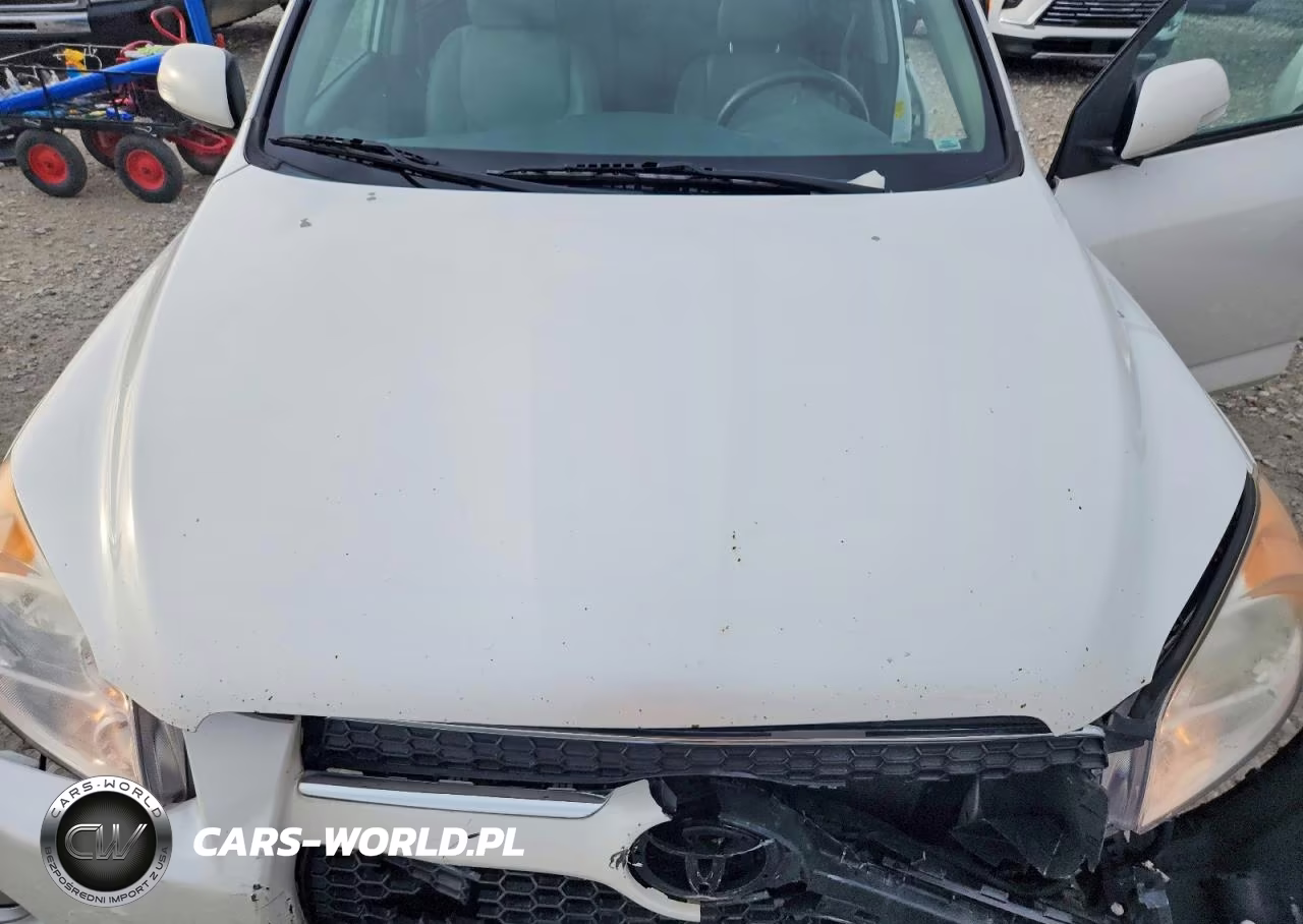 2010 Toyota Rav4 Limited VIN:2T3DK4DV9AW024769 - 12