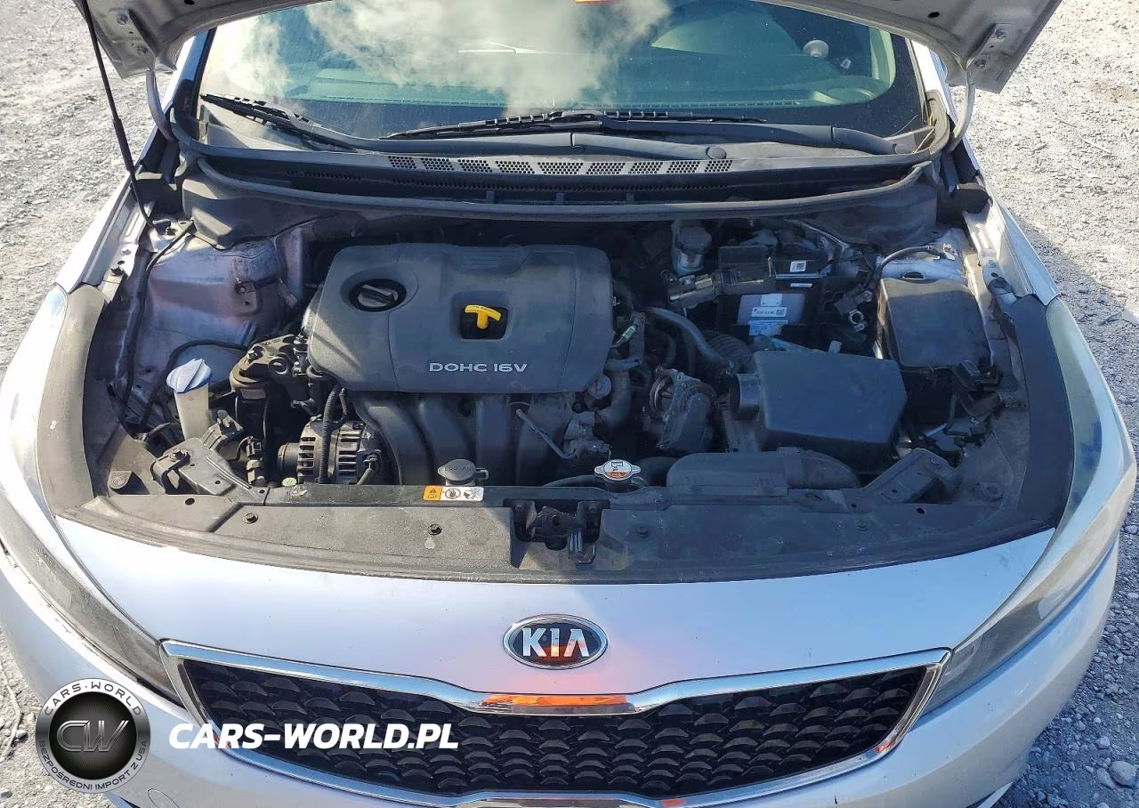 2017 Kia Forte Lx VIN:3KPFK4A79HE090677 - 11