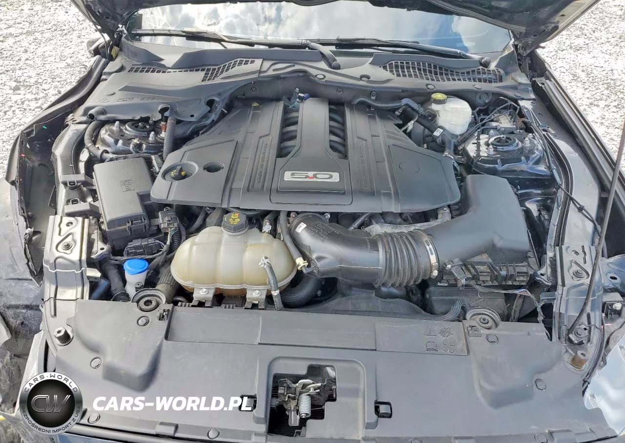 2023 Ford Mustang Gt VIN:1FA6P8CF6P5300861 - 11