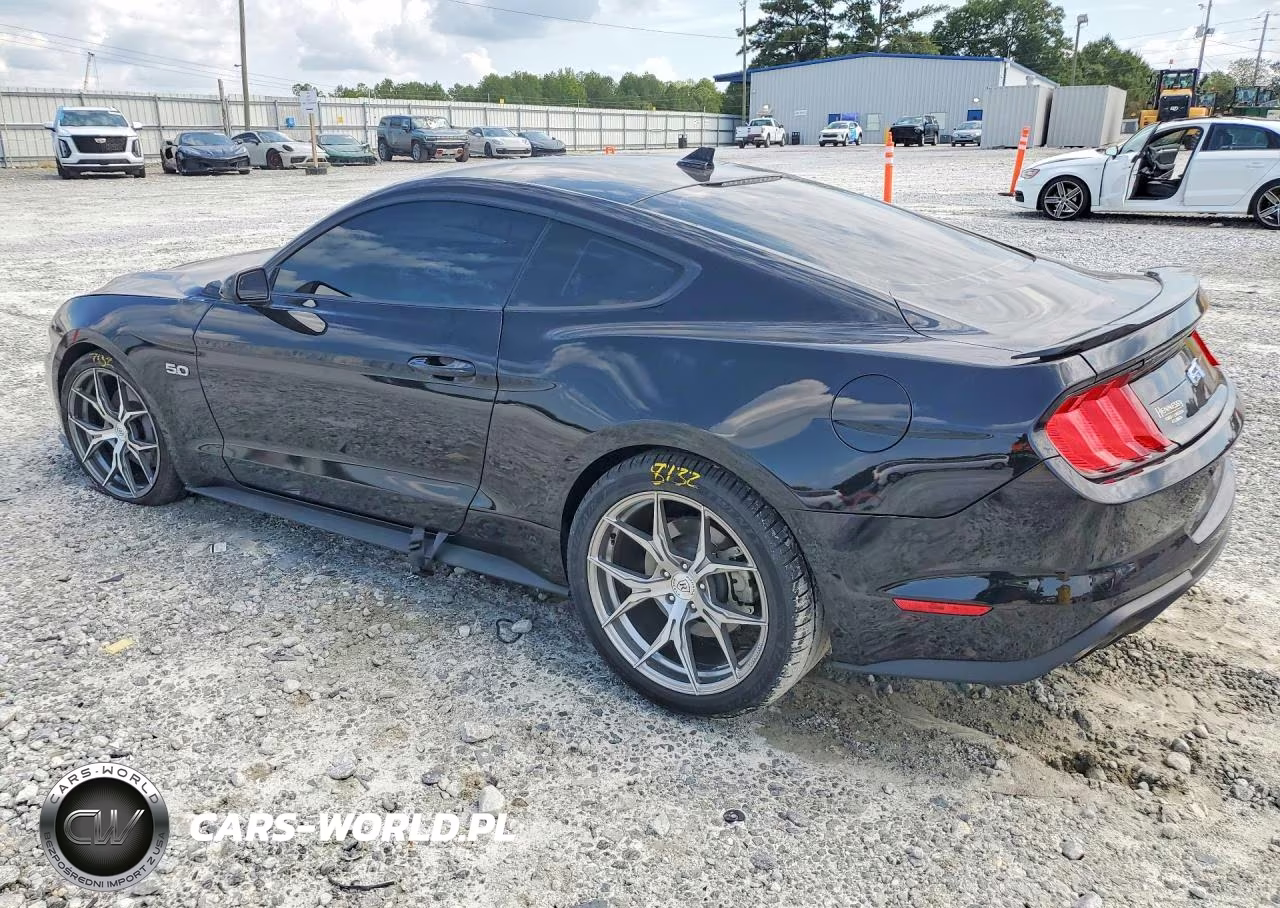 2023 Ford Mustang Gt VIN:1FA6P8CF6P5300861 - 2
