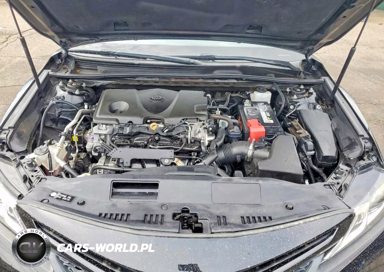 2019 TOYOTA CAMRY L VIN:4T1B11HK2KU249036 - 11
