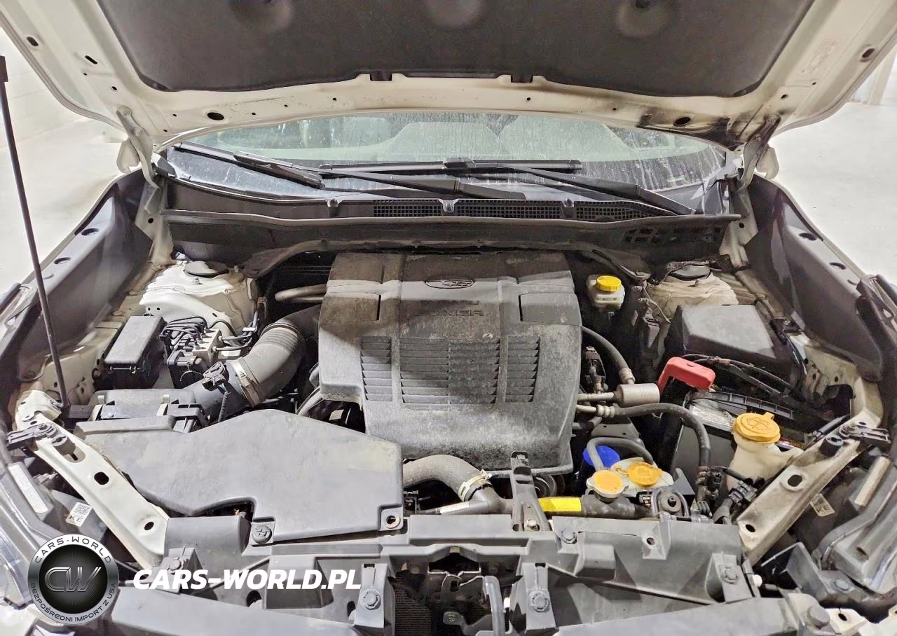 2022 Subaru Forester Wilderness VIN:JF2SKAMC1NH499284 - 12
