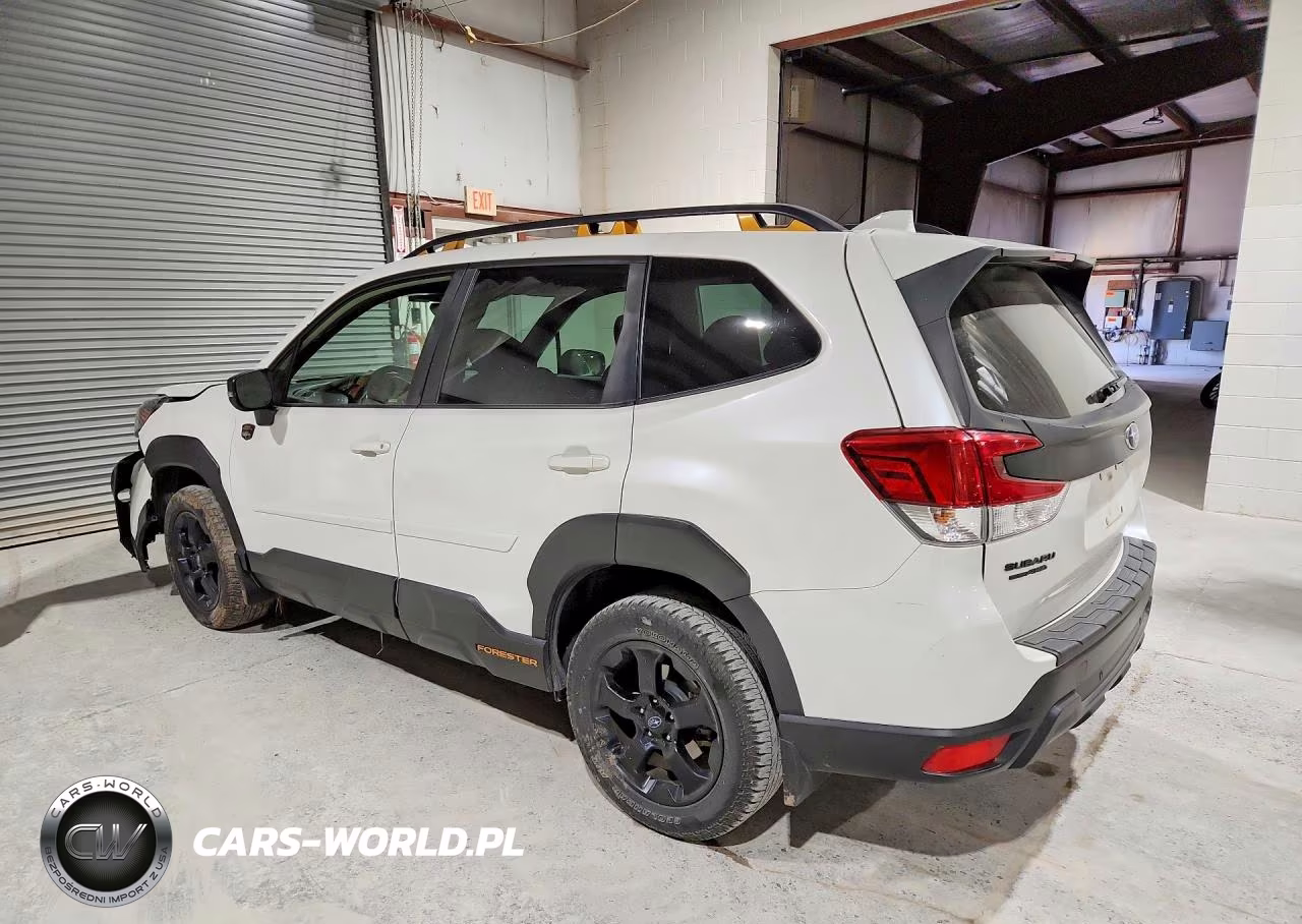 2022 Subaru Forester Wilderness VIN:JF2SKAMC1NH499284 - 2