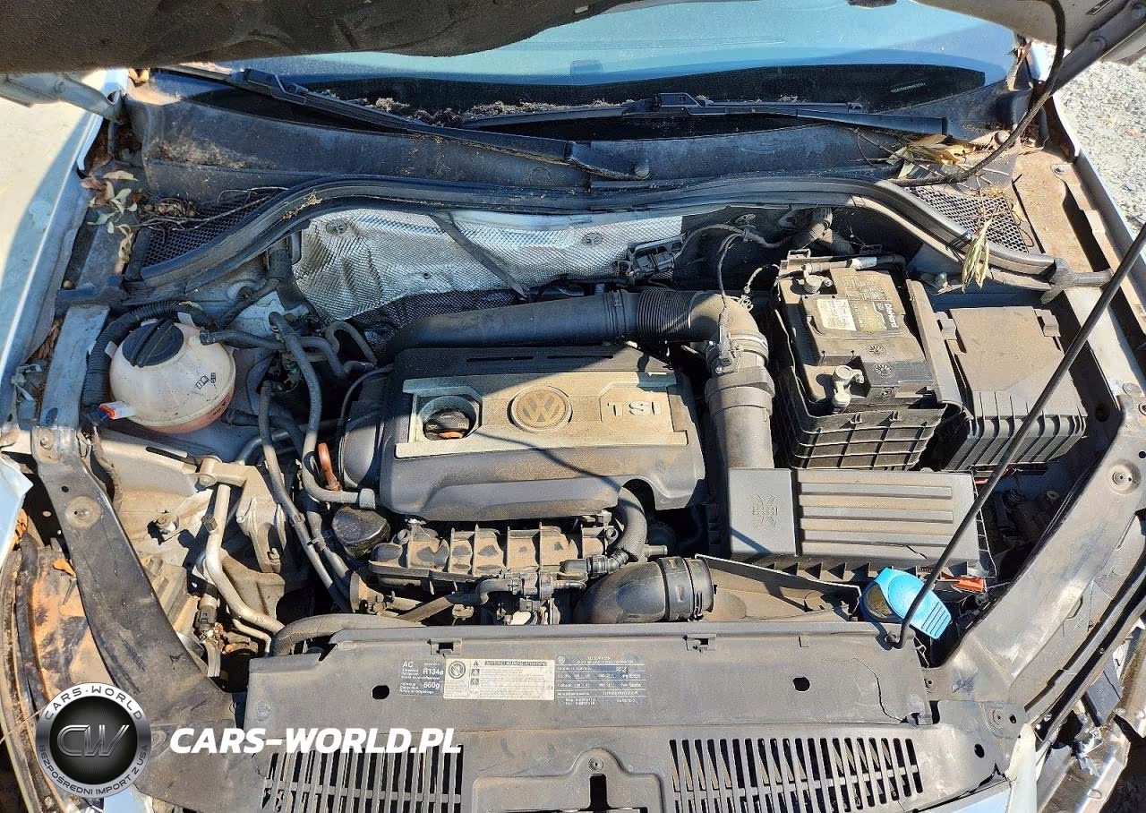 2011 Volkswagen Tiguan S VIN:WVGAV7AX8BW522364 - 11