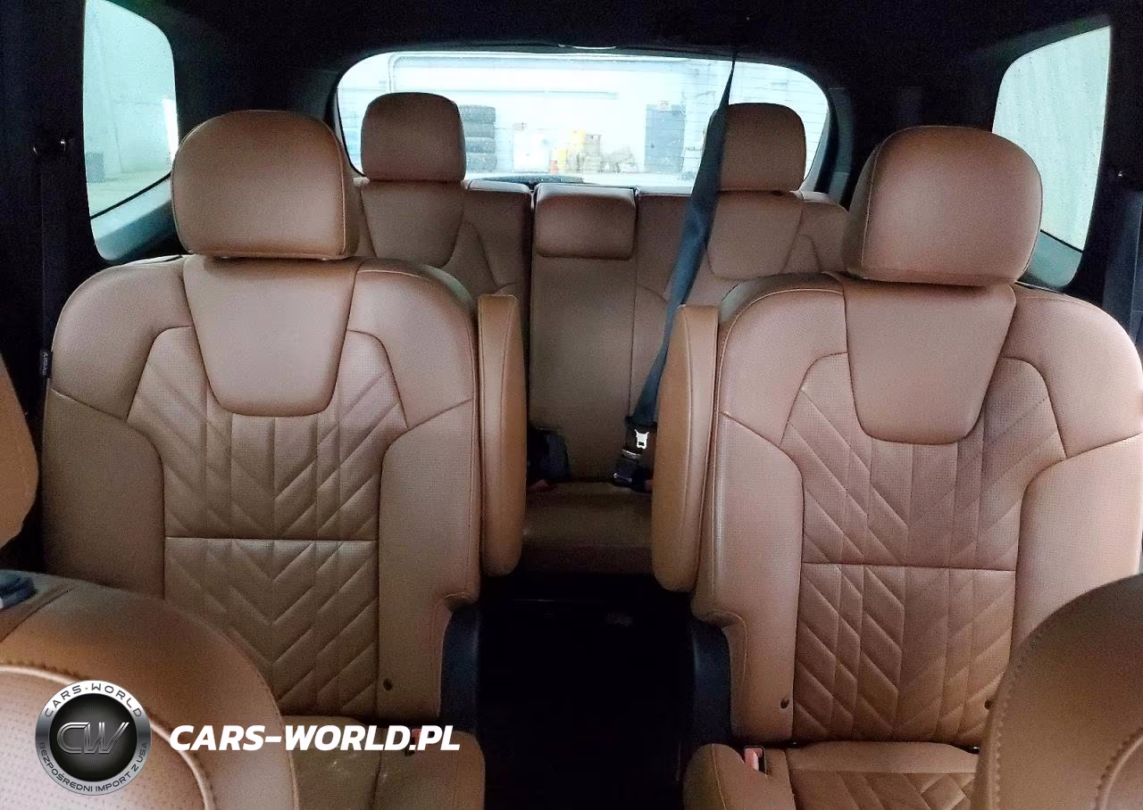 2025 Kia Telluride Ex X-Line VIN:5XYP3DGC9SG707236 - 10