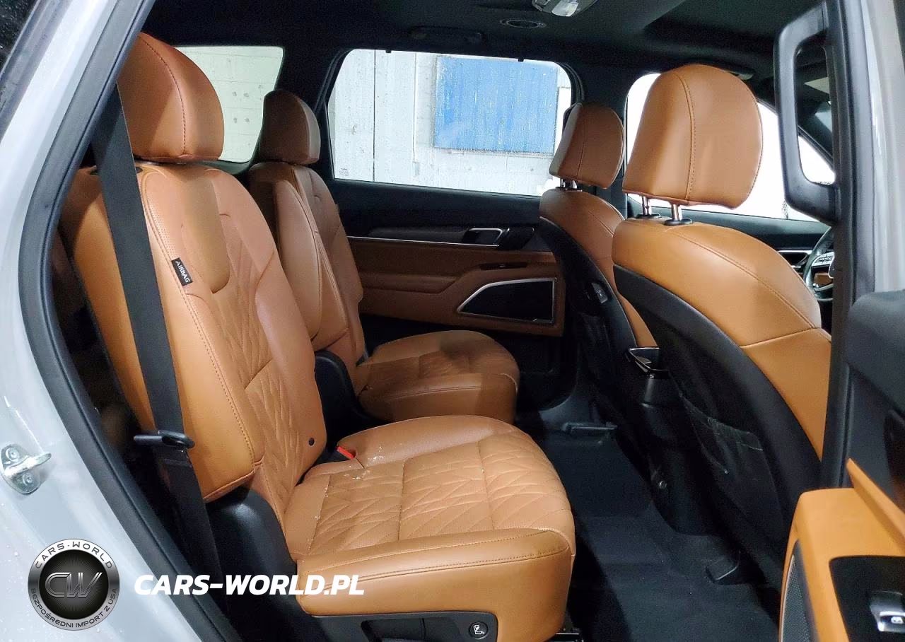 2025 Kia Telluride Ex X-Line VIN:5XYP3DGC9SG707236 - 11