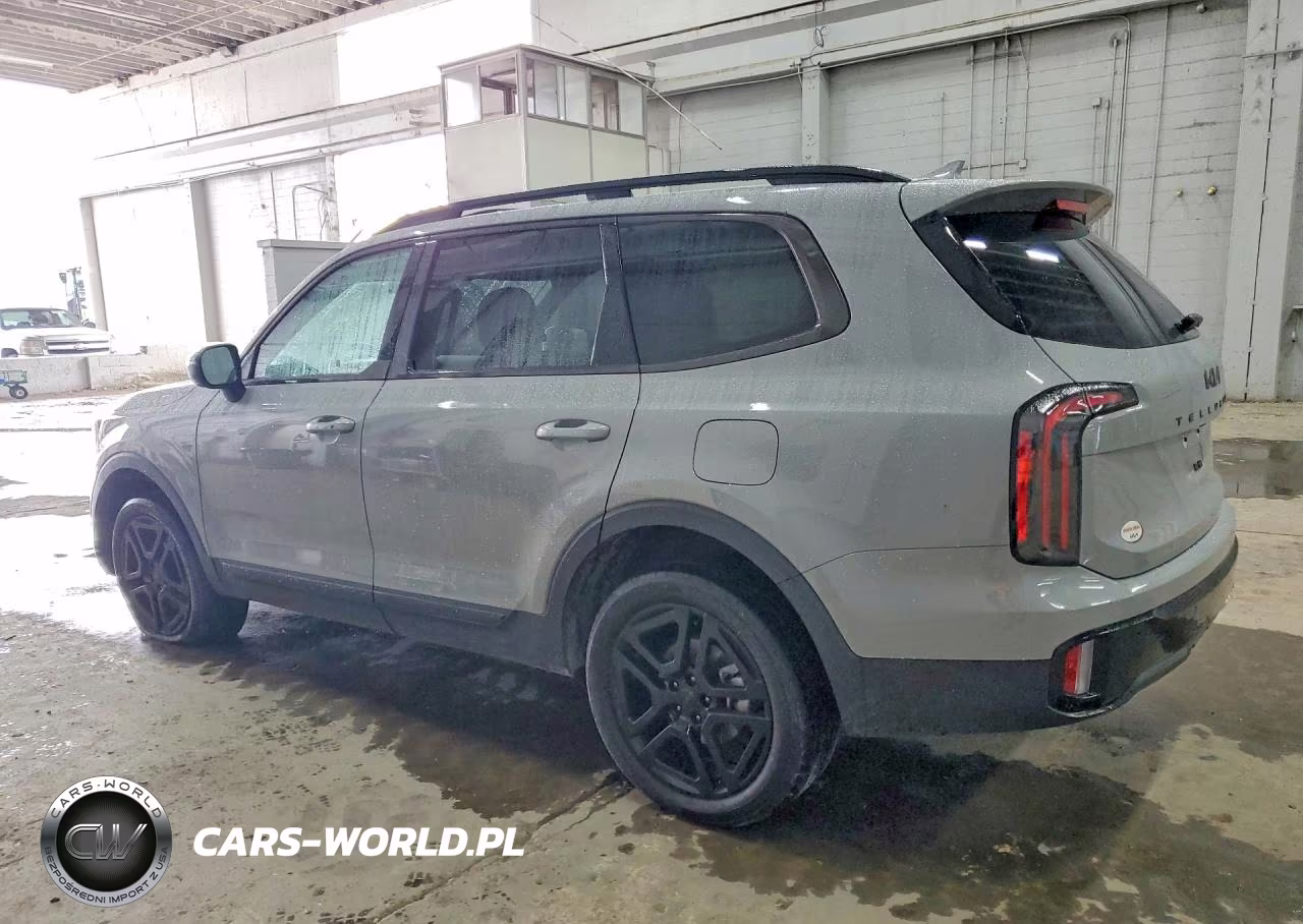 2025 Kia Telluride Ex X-Line VIN:5XYP3DGC9SG707236 - 2