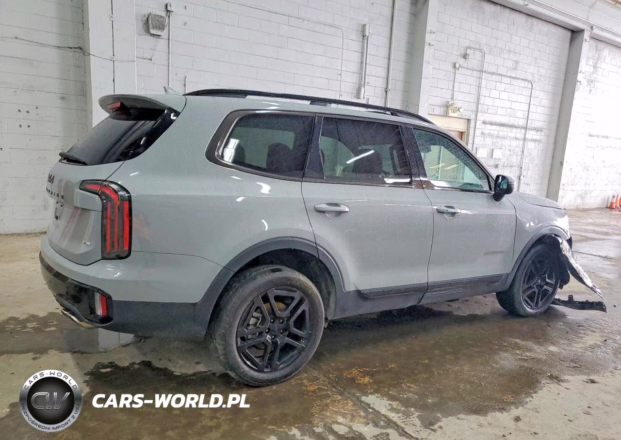 2025 Kia Telluride Ex X-Line VIN:5XYP3DGC9SG707236 - 3
