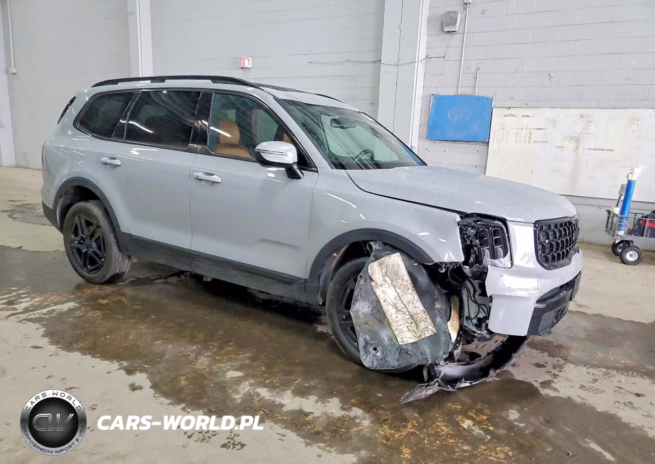 2025 Kia Telluride Ex X-Line VIN:5XYP3DGC9SG707236 - 4