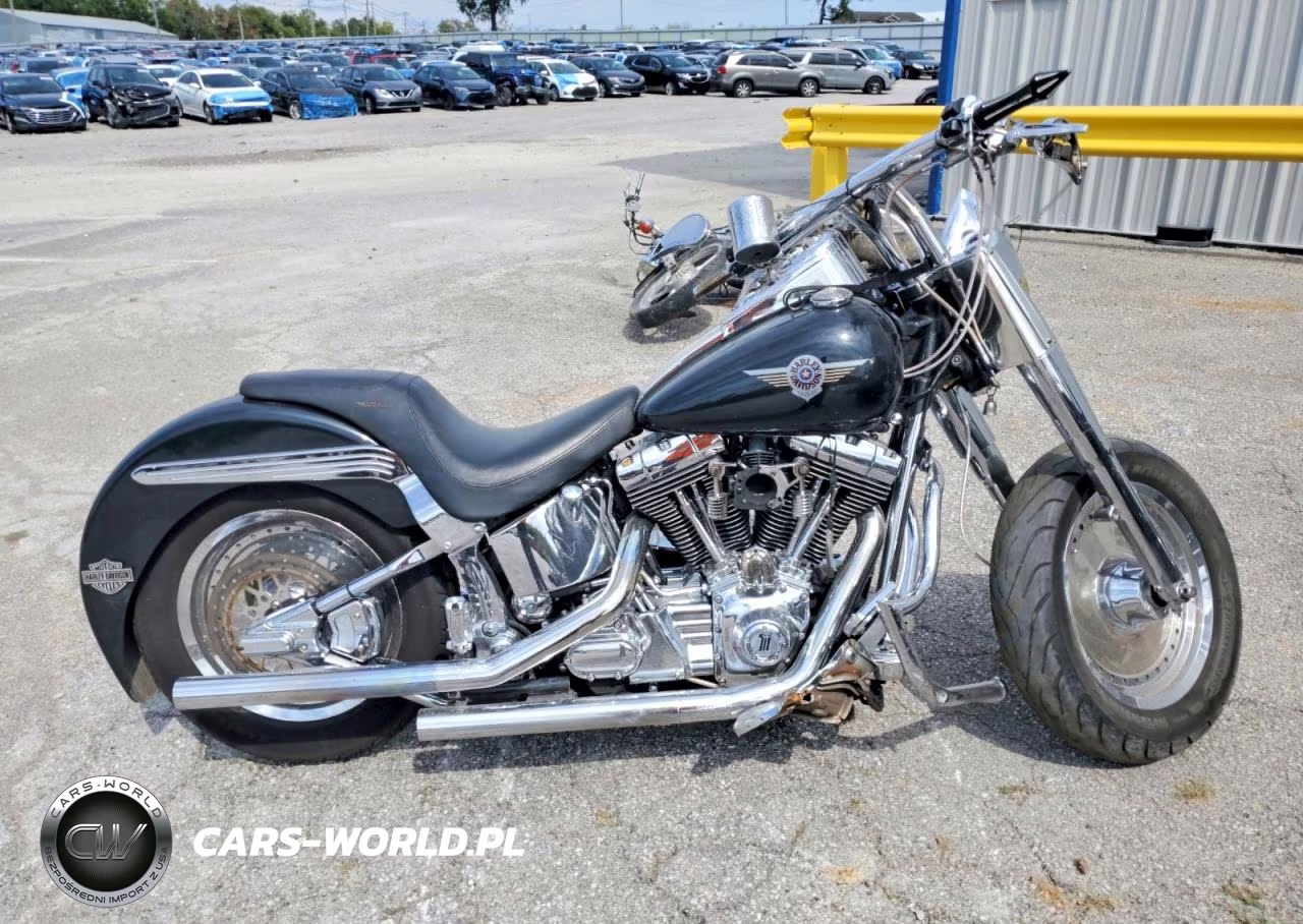 2002 Harley-Davidson Flstfi