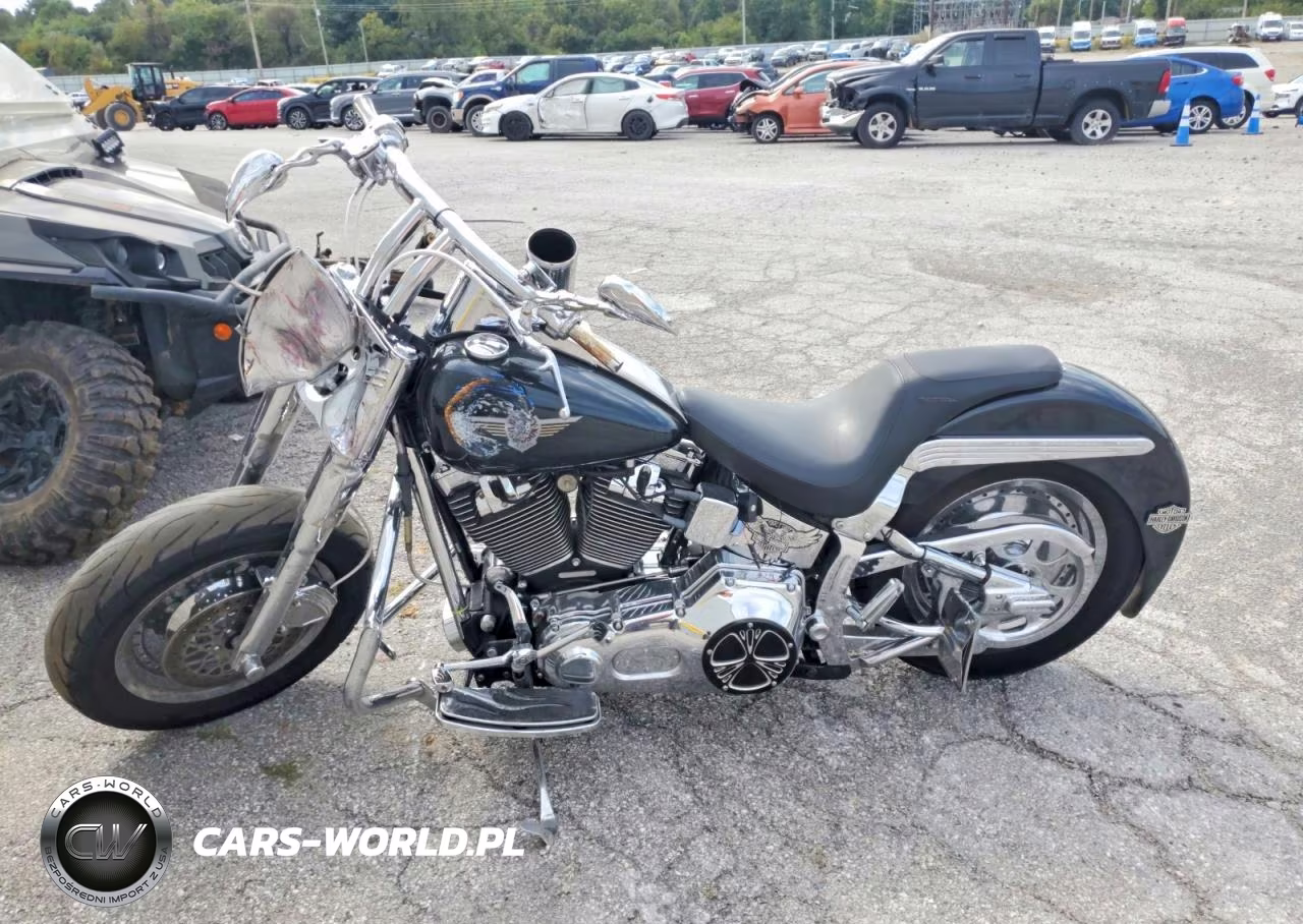 2002 Harley-Davidson Flstfi VIN:1HD1BXB112Y065343 - 3
