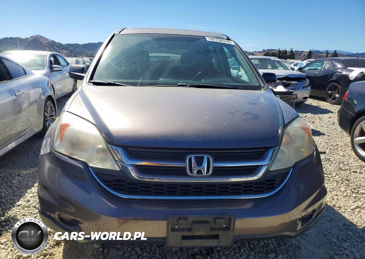 2010 Honda Cr-V Exl VIN:5J6RE3H75AL043027 - 5