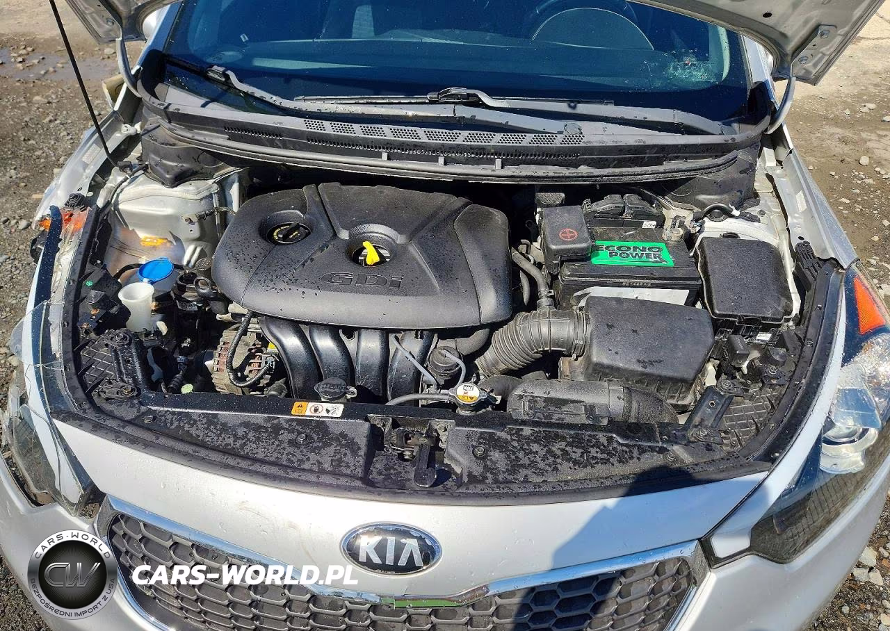 2015 Kia Forte Ex VIN:KNAFX4A85F5335135 - 11