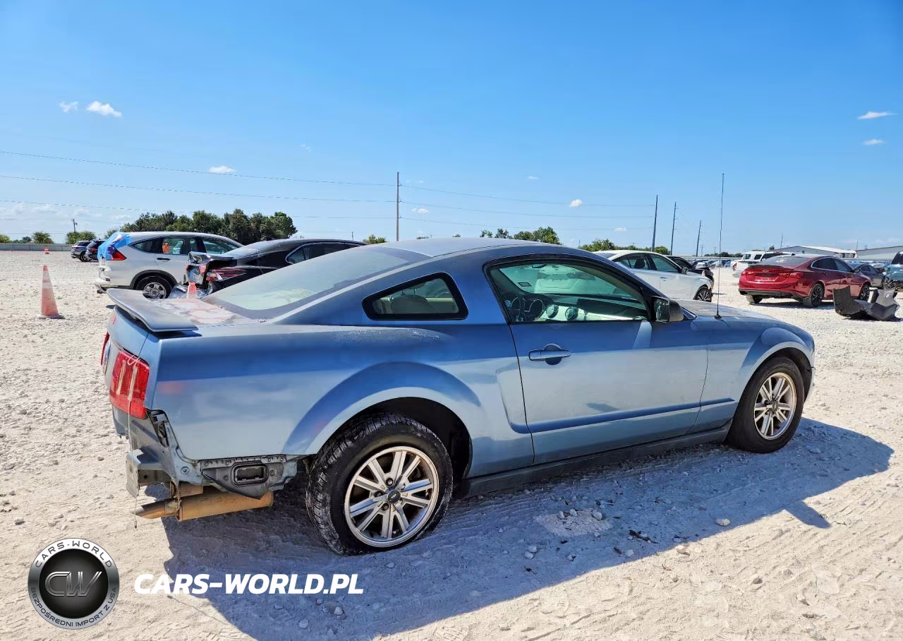 2006 Ford Mustang VIN:1ZVFT80N965240362 - 3