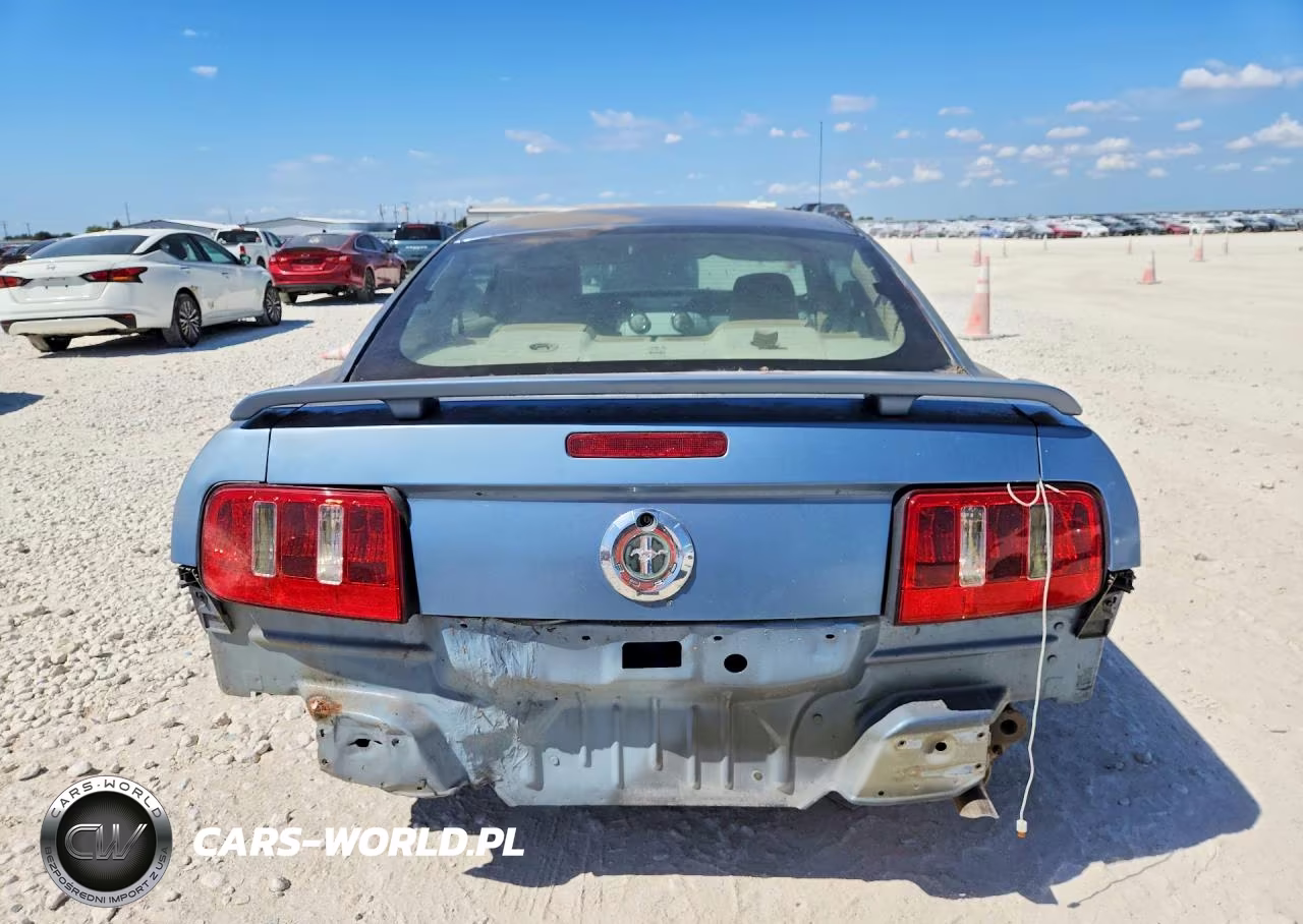 2006 Ford Mustang VIN:1ZVFT80N965240362 - 6