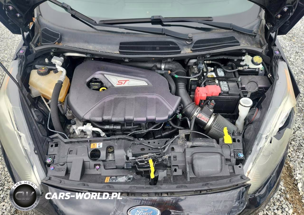 2017 Ford Fiesta St VIN:3FADP4GX4HM104562 - 11