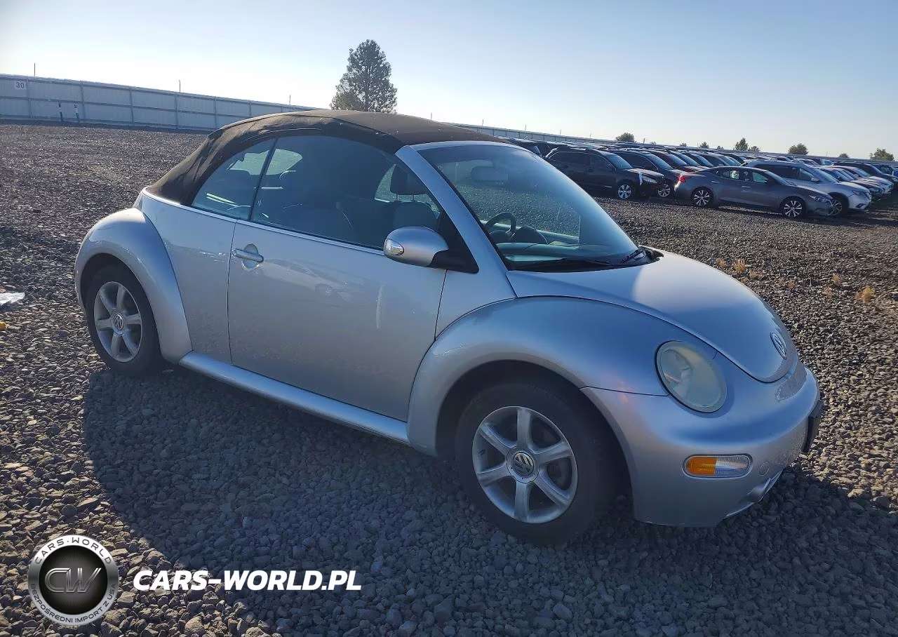2004 Volkswagen Beetle VIN:3VWCD31Y14M331404 - 4