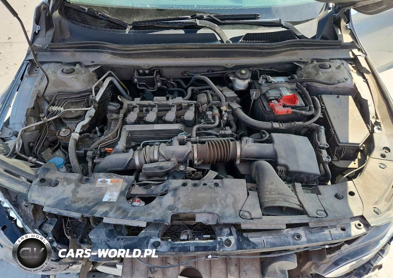 2019 Honda Accord Lx VIN:1HGCV1F13KA017314 - 11