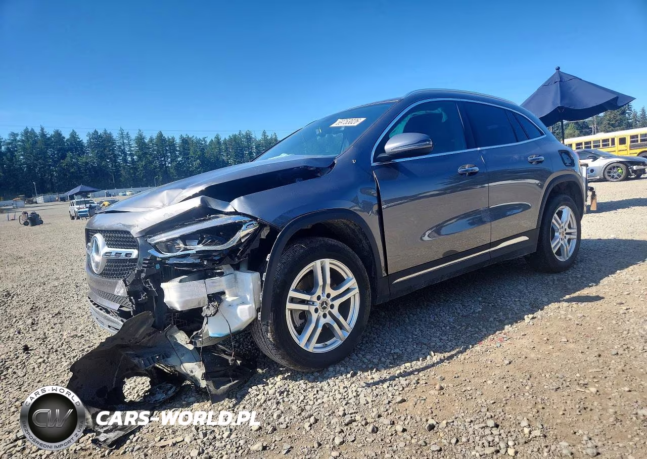 2022 Mercedes-Benz Gla 250 4Matic VIN:W1N4N4HB3NJ339538 - 1