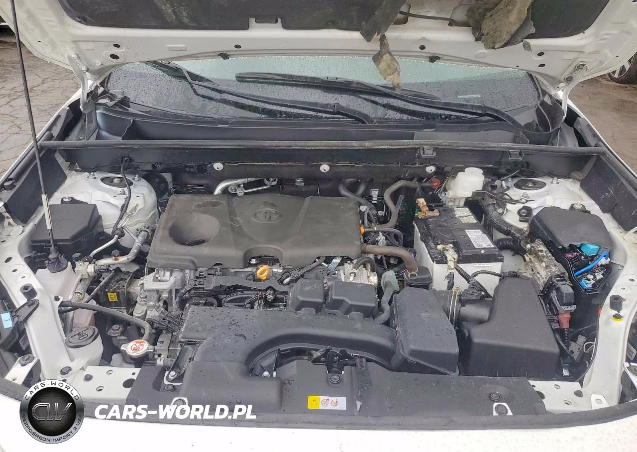 2025 Toyota Rav4 Xle VIN:2T3P1RFV3SW617426 - 12